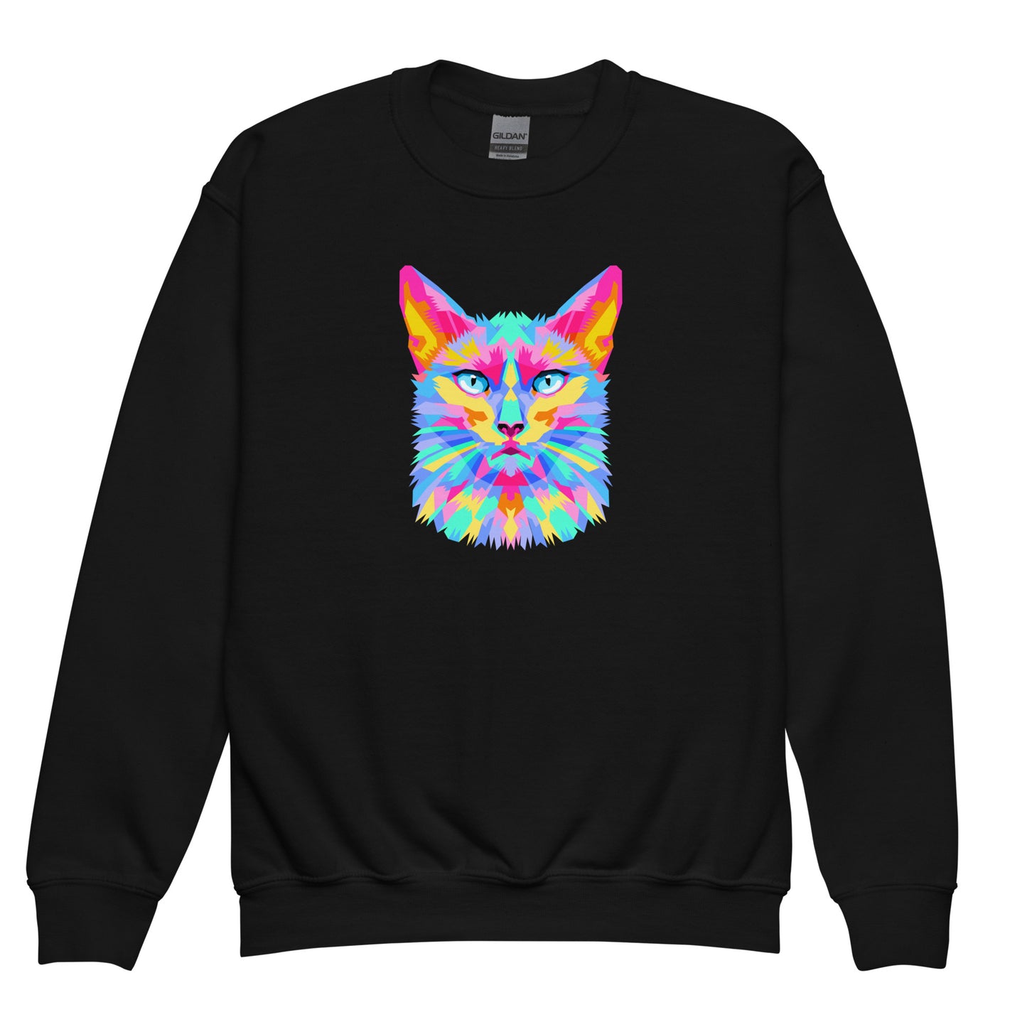 youth crew neck sweatshirt with colorful cat face design in black