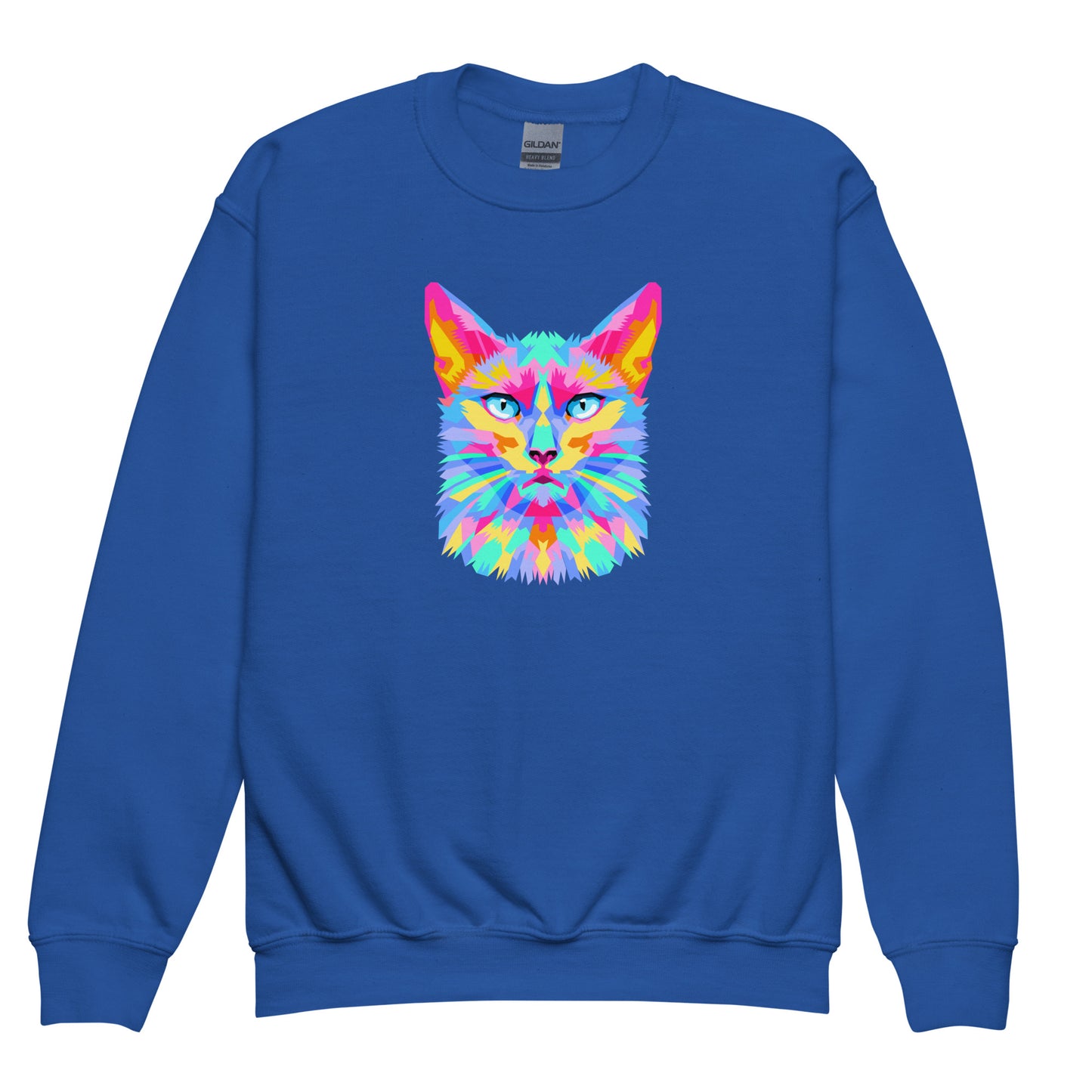youth crew neck sweatshirt with colorful cat face design