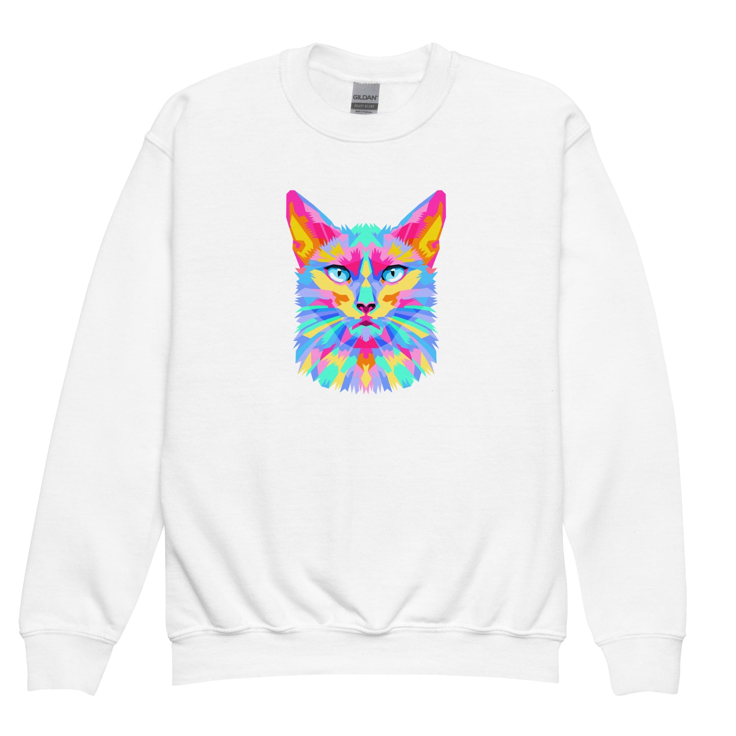 youth crew neck sweatshirt with colorful cat face design