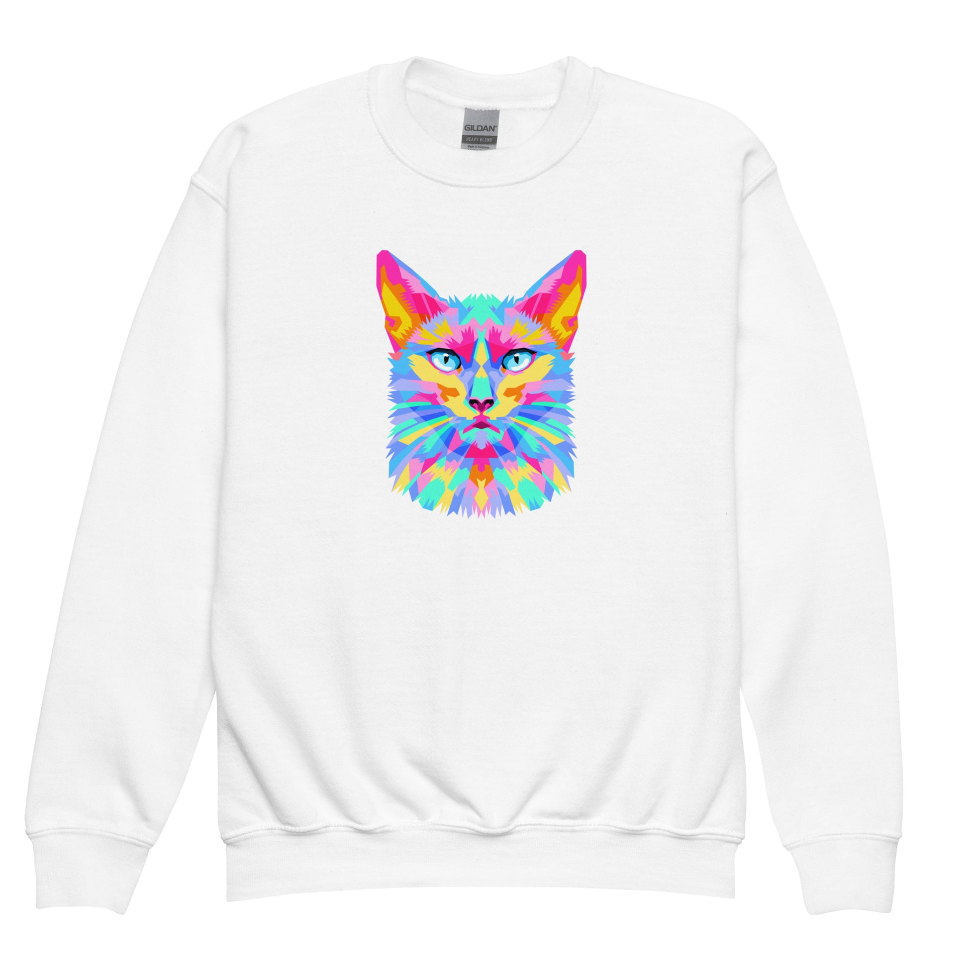 youth crew neck sweatshirt with colorful cat face design